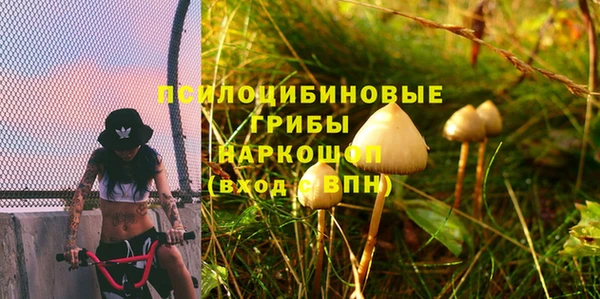 гидра Новокубанск