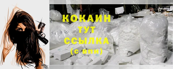 мет Новодвинск