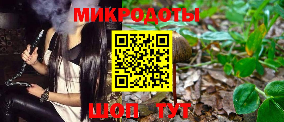 Заволжье  Галлюциногенные грибы Cubensis  Галлюциногенные грибы мухоморы  Вход с VPN 