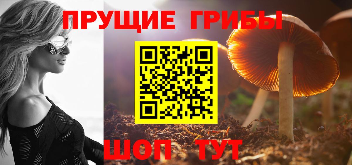 A PVP  COCAIN  Конопля  МЕФ  Плюхи  Вход с VPN  Заволжье  Гашик 